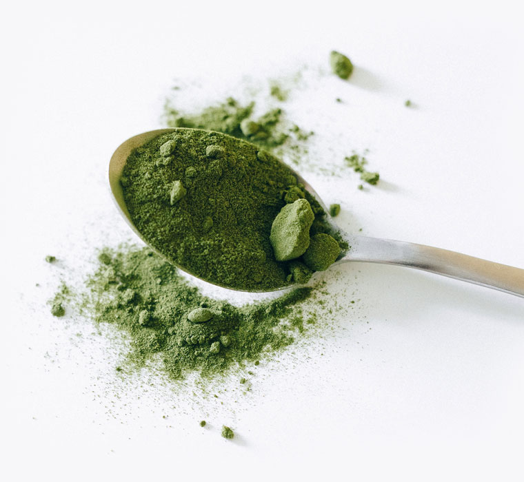 Supergreen intelligent food chlorella spirulina modra zeleny jecmen